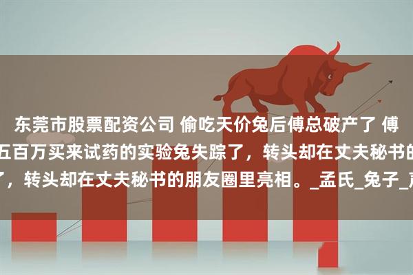 东莞市股票配资公司 偷吃天价兔后傅总破产了 傅临宋清姿孟晚晴 我斥资五百万买来试药的实验兔失踪了，转头却在丈夫秘书的朋友圈里亮相。_孟氏_兔子_声音