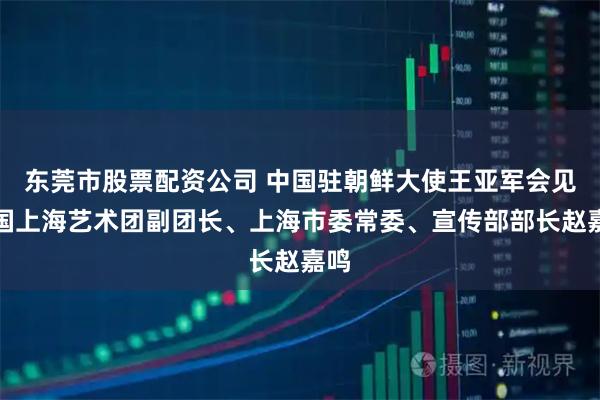 东莞市股票配资公司 中国驻朝鲜大使王亚军会见中国上海艺术团副团长、上海市委常委、宣传部部长赵嘉鸣